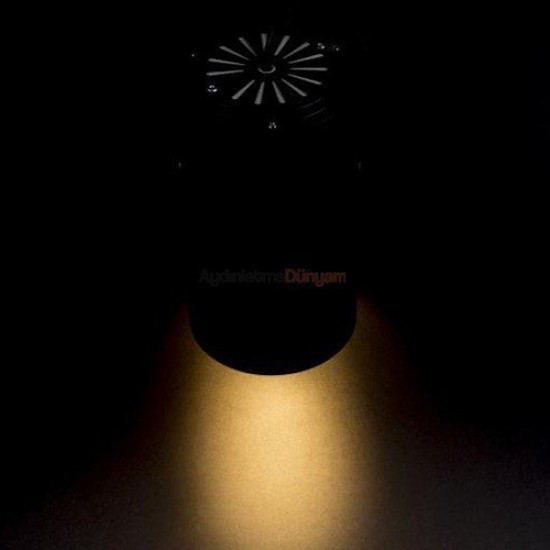 Cata 8 Watt Siyah Kasa Led Ray Spot 3000K Sarı Işık Merkür CT-5331